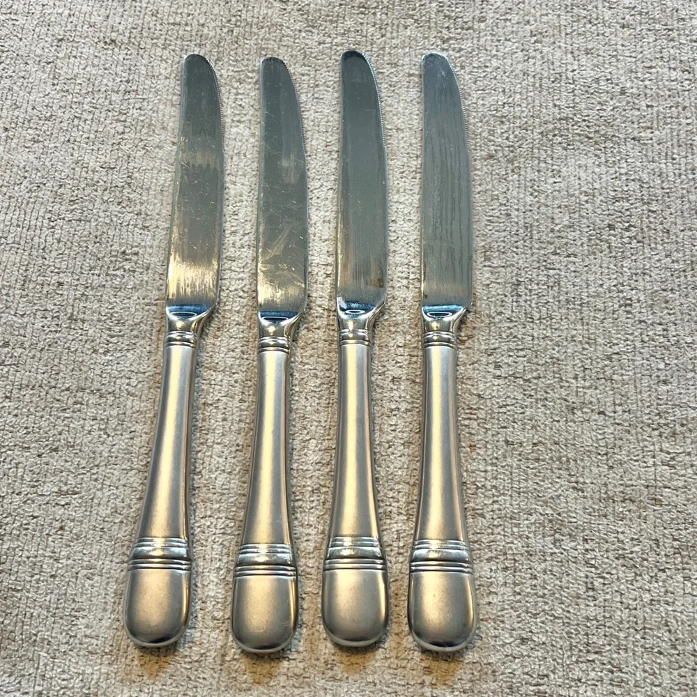 Oneida Astragal 18/10 Stainless Steel Dinner Knives Set of 4 Serrated Blade